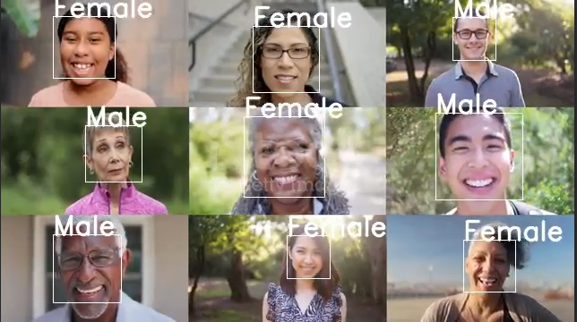 Mediapipe Gender detection model on Flo Edge One